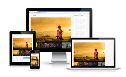 Responsive Responsive