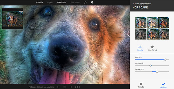 Interfaccia Google Photo