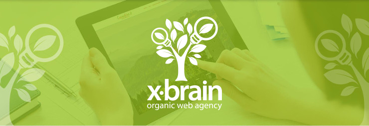 X-Brain