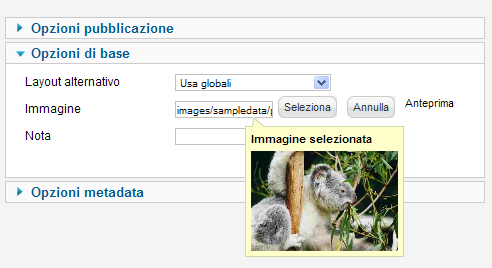 Anteprima immagine - Categorie