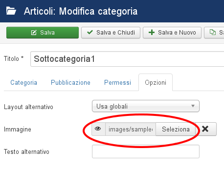 Immagine categoria Immagine categoria