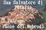 :: San Salvatore di Fitalia ::