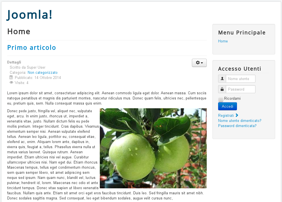 Figura 6: Articolo in prima pagina