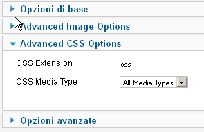 opzioni modulo opzioni modulo